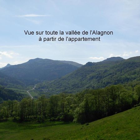 Vacances Au Pied Des Monts Du Cantal Laveissiere Ngoại thất bức ảnh