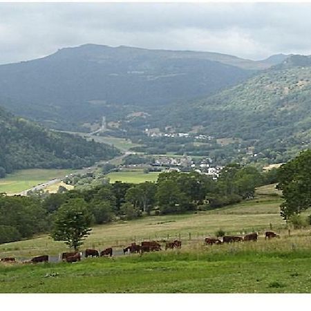 Vacances Au Pied Des Monts Du Cantal Laveissiere Ngoại thất bức ảnh