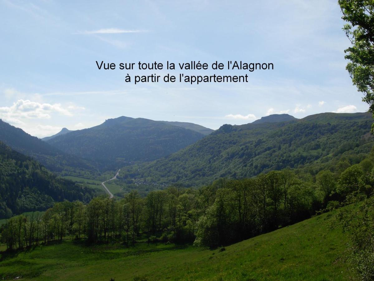 Vacances Au Pied Des Monts Du Cantal Laveissiere Ngoại thất bức ảnh