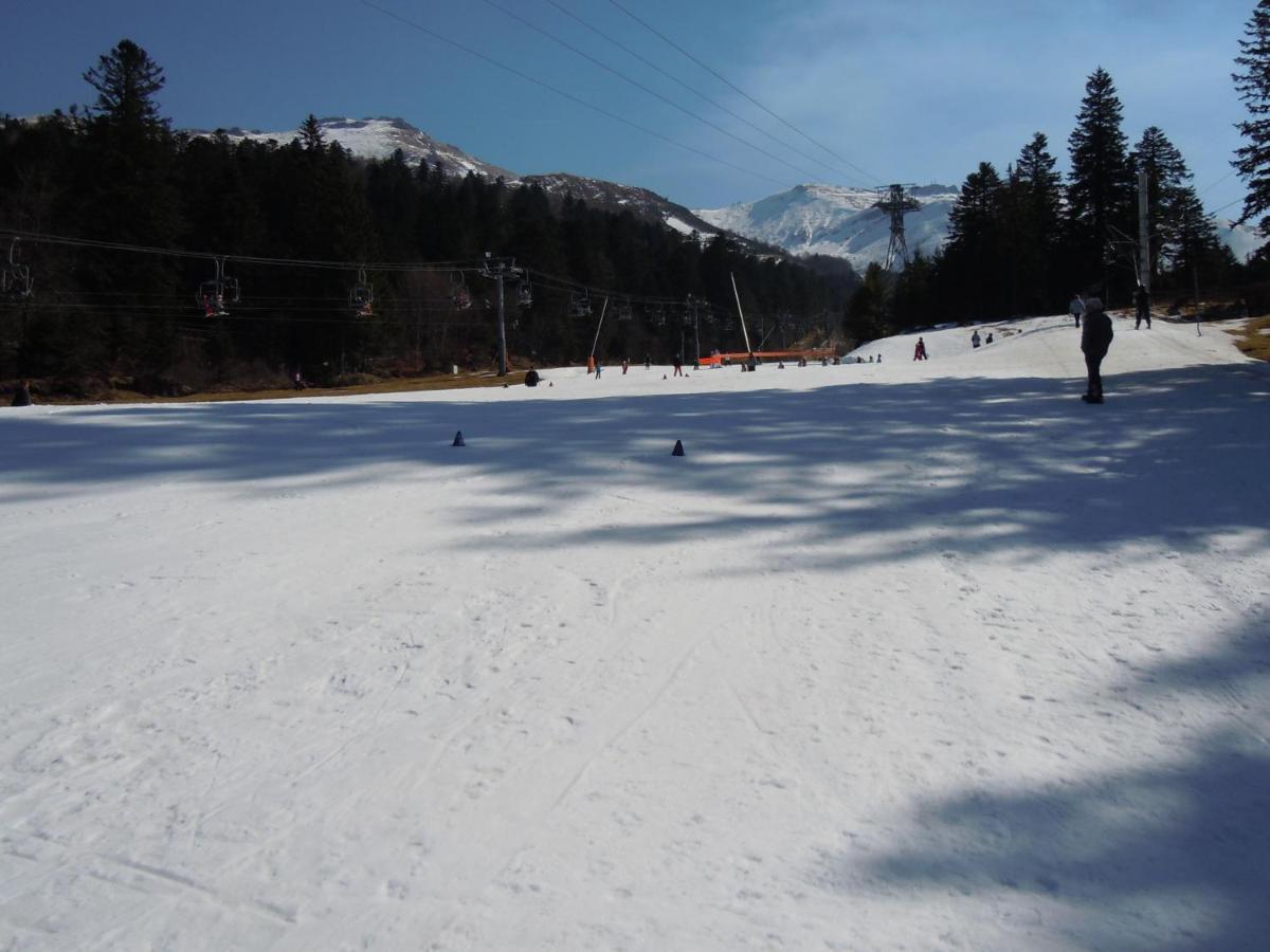 Vacances Au Pied Des Monts Du Cantal Laveissiere Ngoại thất bức ảnh
