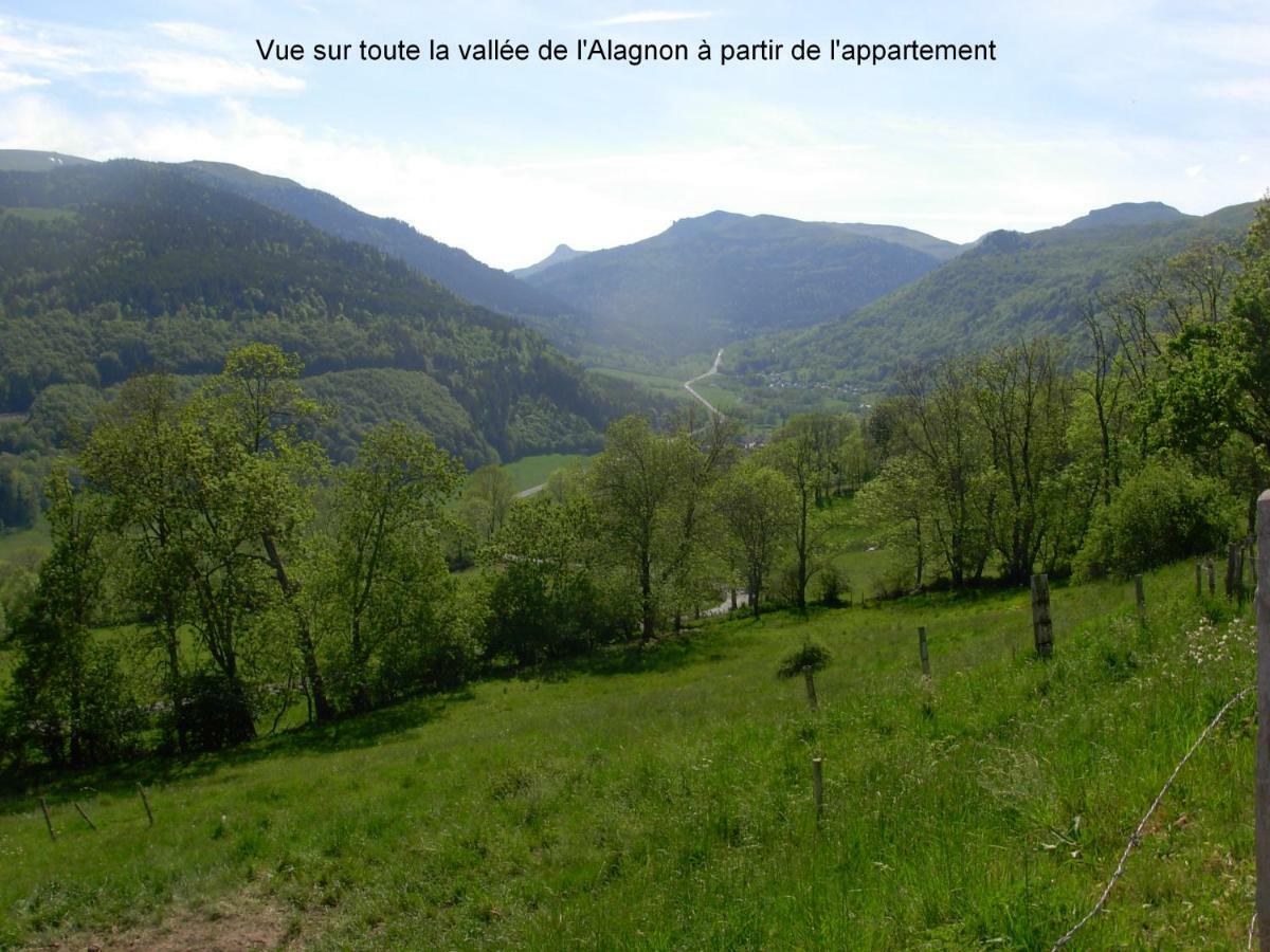 Vacances Au Pied Des Monts Du Cantal Laveissiere Ngoại thất bức ảnh