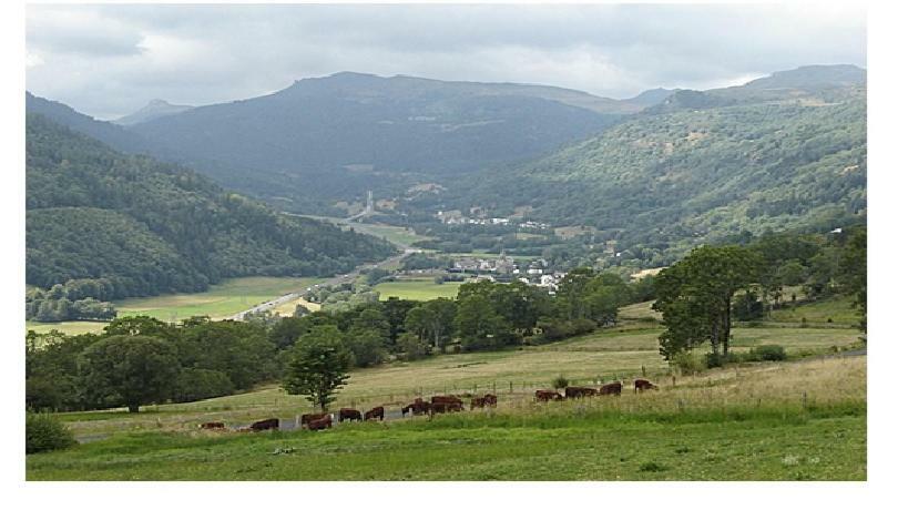 Vacances Au Pied Des Monts Du Cantal Laveissiere Ngoại thất bức ảnh