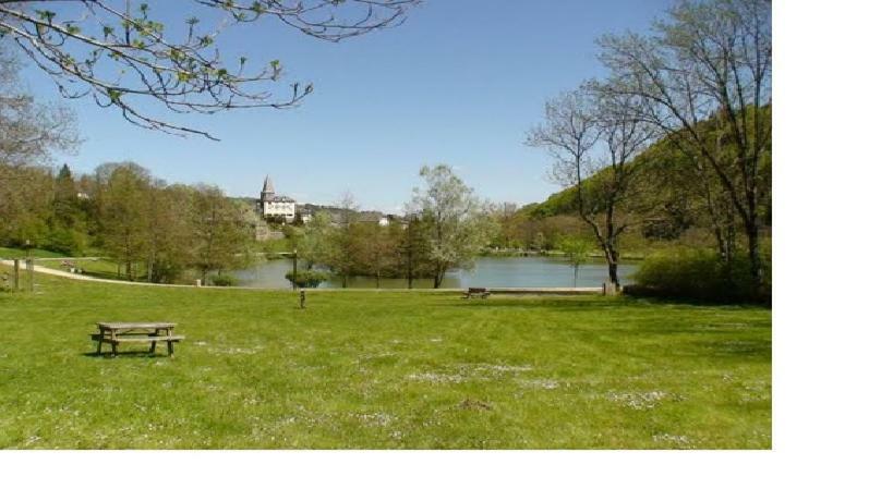 Vacances Au Pied Des Monts Du Cantal Laveissiere Ngoại thất bức ảnh