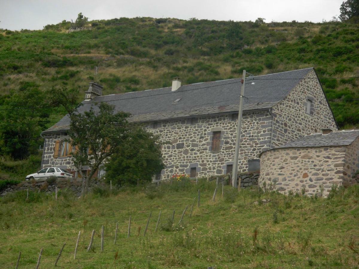 Vacances Au Pied Des Monts Du Cantal Laveissiere Ngoại thất bức ảnh